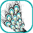 Peacock Splendor Puzzle icon