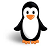 Penguin Memory Game icon