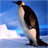 Penguin Jigsaw Puzzles icon