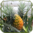 Pineapple Jigsaw Puzzle version 1.0