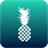 pineapple Tap icon