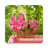 Pink For Girls Puzzle icon