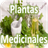 Plantas Medicinales icon