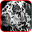 Picross Album icon