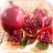 Pomegranate Jigsaw Puzzles icon