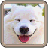 Puzzle - Dogs icon