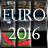 Euro 2016 - Puzzle icon