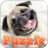 Puzzle Game Cute Dog icon