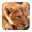 Puzzle - Wild Cats icon