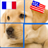 PuzzleAnimals: English - French icon