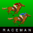 Raceman icon