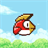 Rocky Bird icon