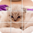 Shuffle Puzzle - Cats icon