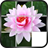 Slide Puzzle - Flowers version 1.0.1