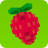 Solve the Fruit icon