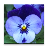 Spring Flowers: Memory Game Free icon