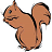 Squirrel Memory Game icon