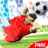 Soccer GoalKeeper version 1.0a