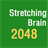 Stretching Brain 2048 icon