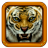 Tigers Puzzle icon