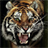 Tiger Wallpapers version 1.1