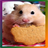 Hamster Tile_Puzzle icon