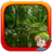 Tongass National Forest Escape APK Download