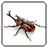 Touch Insect icon