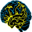 Train Your Brain Pro icon