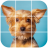 Yorkshire Terrier Tile Puzzle icon