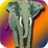 Zoo Game icon