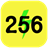 256 Speed icon
