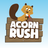 Acorn Rush! icon