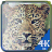 4kids Zoo memory game icon