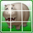 Animal Jigsaw Puzzles icon