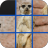 Animal Picture Puzzle Game icon
