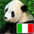 Animals in Italian icon