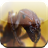Ant Game icon