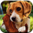 Beagle Puzzle Game icon