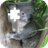 Aussie Animal Puzzles icon