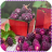 Berries Jigsaw Puzzles version 1.0