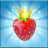 Berry Match Adventure icon