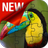 Birdies Puzzle Game icon