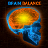 BrainBalance icon