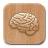 Brain Buster icon