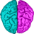 Brain Color icon