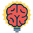 BrainMatch icon