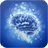 Brain Training icon