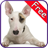 Bull Terrier+ Free icon