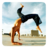Capoeira 1.2